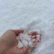 ヒメ日記 2026/01/22 08:19 投稿 あゆみ CECIL