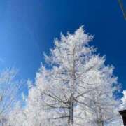 ヒメ日記 2026/01/30 20:25 投稿 あゆみ CECIL