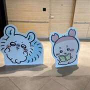 あゆみ おはよん CECIL