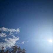 ヒメ日記 2025/11/19 12:03 投稿 はるひ 出会い系人妻ネットワーク さいたま～大宮編