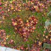 はるひ クリスマス🎄 出会い系人妻ネットワーク 春日部〜岩槻編