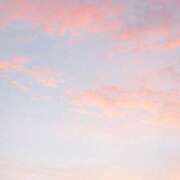 愛沢蘭花 お久しぶりです🥰 お姉さんCLUB