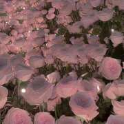 ヒメ日記 2026/02/15 20:03 投稿 愛沢蘭花 お姉さんCLUB