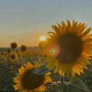 ヒメ日記 2026/02/20 20:06 投稿 立花まみ Aroma Resort(熊本)