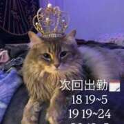 ヒメ日記 2026/03/15 15:01 投稿 はるき びくびくサークル五反田店