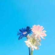 ヒメ日記 2026/03/22 10:05 投稿 海-UMI- 博多最高級濃厚洗体風俗エステ シャルドネ福岡