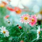 ヒメ日記 2026/03/25 08:14 投稿 海-UMI- 博多最高級濃厚洗体風俗エステ シャルドネ福岡