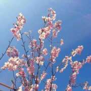 ヒメ日記 2026/03/26 14:34 投稿 海-UMI- 博多最高級濃厚洗体風俗エステ シャルドネ福岡