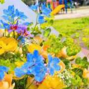 ヒメ日記 2026/03/27 13:44 投稿 海-UMI- 博多最高級濃厚洗体風俗エステ シャルドネ福岡