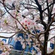 ヒメ日記 2026/03/27 18:24 投稿 海-UMI- 博多最高級濃厚洗体風俗エステ シャルドネ福岡