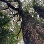 ヒメ日記 2026/03/28 16:04 投稿 海-UMI- 博多最高級濃厚洗体風俗エステ シャルドネ福岡