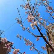 ヒメ日記 2026/03/29 13:24 投稿 海-UMI- 博多最高級濃厚洗体風俗エステ シャルドネ福岡