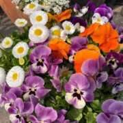 ヒメ日記 2026/03/29 16:54 投稿 海-UMI- 博多最高級濃厚洗体風俗エステ シャルドネ福岡