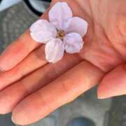 ヒメ日記 2026/03/29 17:51 投稿 海-UMI- 博多最高級濃厚洗体風俗エステ シャルドネ福岡