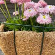 ヒメ日記 2026/03/29 18:24 投稿 海-UMI- 博多最高級濃厚洗体風俗エステ シャルドネ福岡