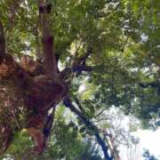 ヒメ日記 2026/03/31 23:34 投稿 海-UMI- 博多最高級濃厚洗体風俗エステ シャルドネ福岡