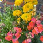 ヒメ日記 2026/04/02 16:24 投稿 海-UMI- 博多最高級濃厚洗体風俗エステ シャルドネ福岡