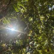 ヒメ日記 2026/04/08 11:14 投稿 海-UMI- 博多最高級濃厚洗体風俗エステ シャルドネ福岡