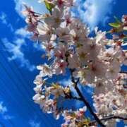 ヒメ日記 2026/04/08 16:24 投稿 海-UMI- 博多最高級濃厚洗体風俗エステ シャルドネ福岡