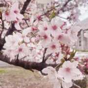 ヒメ日記 2026/04/14 07:54 投稿 海-UMI- 博多最高級濃厚洗体風俗エステ シャルドネ福岡