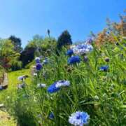 ヒメ日記 2026/04/16 22:14 投稿 海-UMI- 博多最高級濃厚洗体風俗エステ シャルドネ福岡