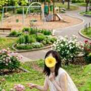 ヒメ日記 2026/05/19 12:22 投稿 海-UMI- 博多最高級濃厚洗体風俗エステ シャルドネ福岡