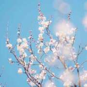 ヒメ日記 2026/03/22 23:15 投稿 風-Fuu- 博多最高級濃厚洗体風俗エステ シャルドネ福岡