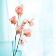 風-Fuu- 💗 博多最高級濃厚洗体風俗エステ シャルドネ福岡