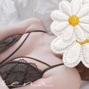 ヒメ日記 2025/11/18 19:34 投稿 河合えれな お姉さんCLUB