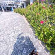 ヒメ日記 2026/03/24 19:20 投稿 河合えれな お姉さんCLUB