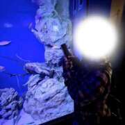 ヒメ日記 2026/03/25 19:19 投稿 河合えれな お姉さんCLUB