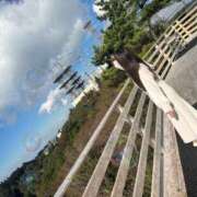 ヒメ日記 2025/11/29 19:01 投稿 ハク LOVE(小名浜)