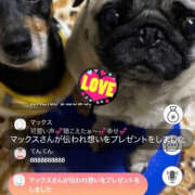 ヒメ日記 2025/12/08 12:00 投稿 ハク LOVE(小名浜)