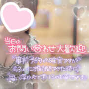 ヒメ日記 2025/12/10 09:00 投稿 ハク LOVE(小名浜)