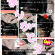 ヒメ日記 2025/12/11 23:42 投稿 ハク LOVE(小名浜)