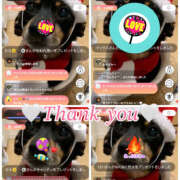 ヒメ日記 2025/12/14 18:00 投稿 ハク LOVE(小名浜)