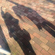 ヒメ日記 2025/12/22 09:00 投稿 ハク LOVE(小名浜)