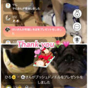 ヒメ日記 2025/12/24 23:50 投稿 ハク LOVE(小名浜)