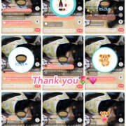 ヒメ日記 2025/12/27 22:30 投稿 ハク LOVE(小名浜)