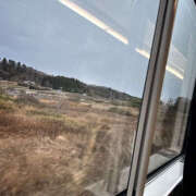 ヒメ日記 2026/01/02 15:57 投稿 ハク LOVE(小名浜)