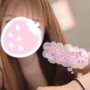 ヒメ日記 2026/01/10 08:00 投稿 ハク LOVE(小名浜)