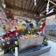 ヒメ日記 2026/01/15 18:00 投稿 ハク LOVE(小名浜)