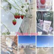 ヒメ日記 2026/01/16 21:00 投稿 ハク LOVE(小名浜)