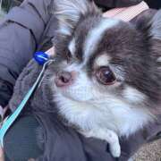 ヒメ日記 2026/01/24 18:00 投稿 ハク LOVE(小名浜)