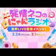 ヒメ日記 2026/02/25 21:00 投稿 ハク LOVE(小名浜)