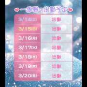 ヒメ日記 2026/03/14 19:00 投稿 ハク LOVE(小名浜)