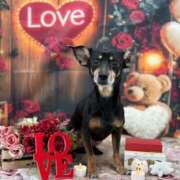 ヒメ日記 2026/03/17 15:00 投稿 ハク LOVE(小名浜)