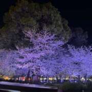 ヒメ日記 2026/04/09 08:12 投稿 ハク LOVE(小名浜)