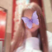 ヒメ日記 2026/04/11 15:00 投稿 ハク LOVE(小名浜)