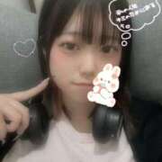 ヒメ日記 2025/11/23 12:21 投稿 めりな きらめけ！にゃんにゃん学園in大宮